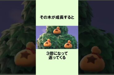 お金のなる木のまめ知識 #Shorts #あつ森 #どうぶつの森 #あつまれどうぶつの森