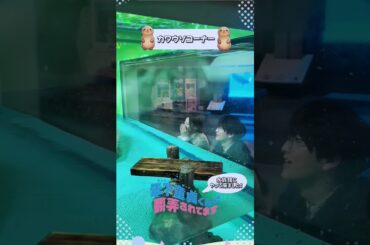 カワウソより可愛い#ハル くん #柏木悠 #森香澄 #超特急