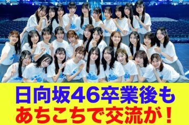 【日向坂46】日向坂46卒業後もあちこちで交流が！