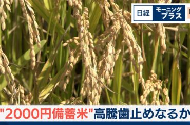 2000円備蓄米　高騰歯止めなるか【日経モープラFT】