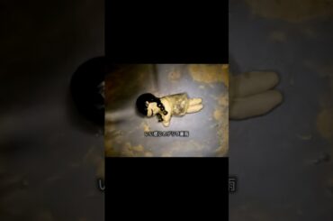 『あまい/大森靖子』(ボイメでcover)#ギター #弾き語り #cover #大森靖子 さん #short #マットプット星#ボイスメッセージ