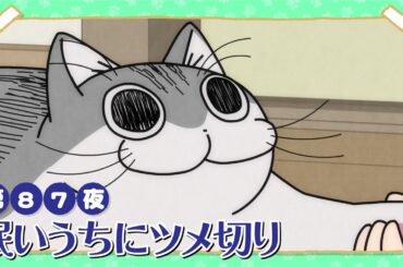 アニメ『夜は猫といっしょ』第87夜「眠いうちにツメ切り」