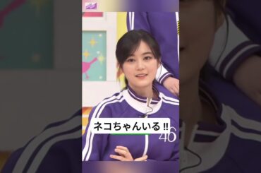何で猫みたいのいんだよ !? [ 生田絵梨花 ] #乃木坂46