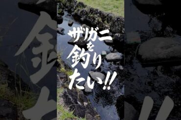 【ザリガニ釣り】釣れなかった話【親の失敗】