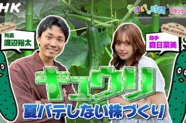 [やさいの時間] キュウリのプランター栽培を渡辺裕太と森日菜美がご紹介&【6/15(日)放送告知】やさいの時間 |「プランター菜園 パスタが香る ハーブ栽培」| NHK
