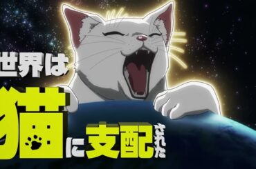 Nyaight of the Living Cat | Official Anime New Trailer PV | ニャイト・オブ・ザ・リビングキャット | 7 July 2025 Release