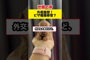 【世間の反応】河野氏が警鐘！ビザ権限移管で変わる日本の未来！#shorts