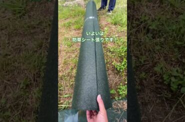 芝桜群生地プロジェクト～防草シート編～！りんくう公園では、法面の一部を芝桜の群生エリアとして毎年範囲を広めながら取り組んでいます。今回の動画は、防草シート編になります。秋に苗を植栽します。#芝桜