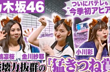 【やんあーやりお 揃い踏み】勝利の女神たちの超豪華きつねダンス【錦上添華】