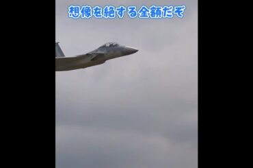 リアルジェットF-15 #ラジコン飛行機