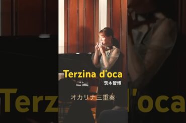 【オカリナ三重奏】Terzina d'oca　オカリナ三重奏のためのかわいい一曲🪿🪿🪿続きも公開中！#shorts  #ocarina #オカリナ #岡田知里 #松島沙樹 #椿麻希