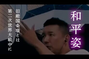 【和平姿】山本太郎/伊勢崎賢治/山川ひとし/よだかれん/くしぶち万里/大石あきこ/つじ恵/やはた愛/れいわ新選組/国会中継/在日米軍基地問題/平和外交