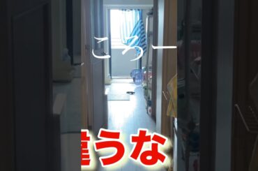 わざと犬の名前間違えて呼んだら！