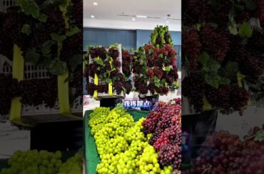 Making Amazing Grapes juice #facts #amazingfacts #youtubeshorts