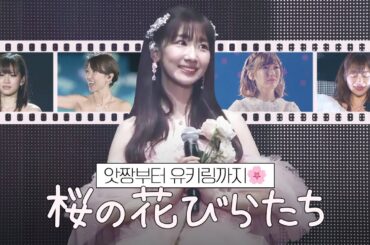 [자막] AKB48 - 벚꽃잎들 (桜の花びらたち) 졸업 ver.