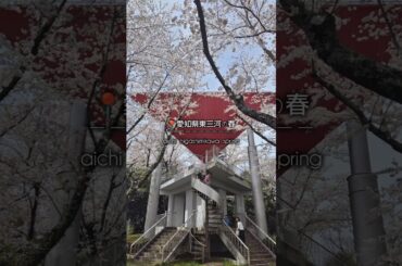 過去に訪れた愛知県東三河(奥三河も)の春に咲くお花スポットのダイジェストver桜…河津桜…ミツマタ群生地…花桃…カタクリのお花等々…#東三河 #奥三河 #春  #愛知県