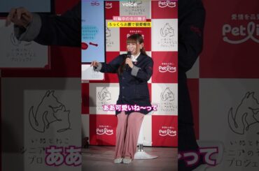 妊娠中の中川翔子、ふっくらお腹で猫愛爆発