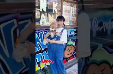 JUNK STANDアンバサダー撮影🐶🍔 #shorts #辻堂カフェ #わんことお出かけ