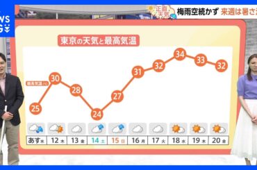 【6月11日 関東の天気】関東 梅雨入りしたけど…｜TBS NEWS DIG