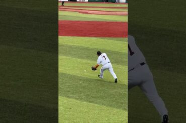 巨人　長野久義　バックホーム　　#巨人 #長野久義 #ジャイアンツ #プロ野球 #野球 #baseball