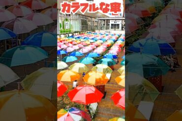 【梅雨だく】カラフルな傘#shorts #music #傘 #カラフル #ちいかわ #oldies
