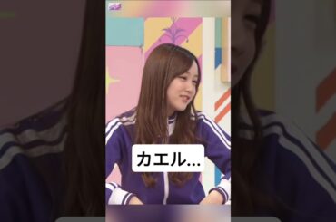 亀だろ !! [ 星野みなみ ] #乃木坂46