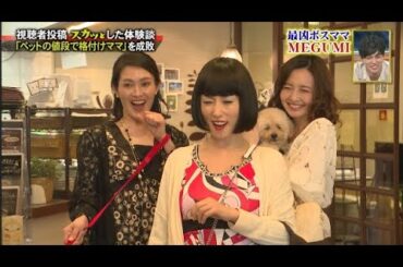 【スカッとジャパン】「ペットの値段で格付けママ」を成敗