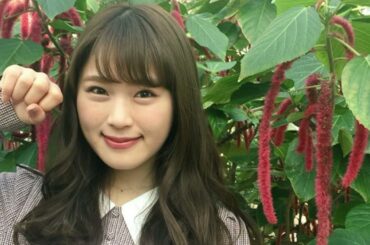 【NMB48学園衝撃の発表の時間】最終回に向けてANDGEEBEEと大阪ほんわかテレビの宣伝をしてみよう