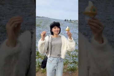 【国営ひたち海浜公園】ネモフィラが見頃です #茨城県 #いばらき大使