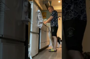 はやくメシだせ！