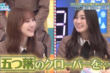 【日向坂46】「日向坂で会いましょう 2025」『四つ葉を越えて…五つ葉の奇跡で紗理菜に幸せを！』