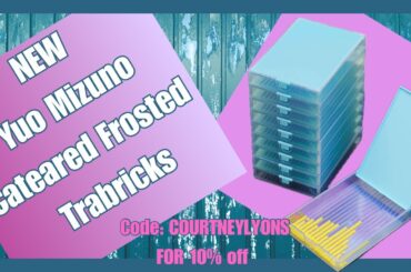NEW Yui Mizuno Cateared Frosted Trabricks in Blue for Diamond Painting Storage/Tray in One