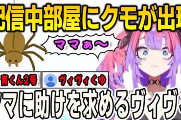 配信中にクモに襲われたヴィヴィ！青くんのカメムシと同じになりかける【綺々羅々ヴィヴィ/⻁⾦妃笑⻁/⽔宮枢/FLOWGLOW/ホロライブ/マインクラフト/Minecraft /切り抜き】