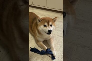 それでもとりあげてみる！