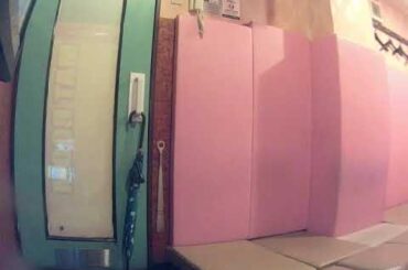 渕崎ゆり子(李紅蘭)／メトロで行こう【うたスキ動画】