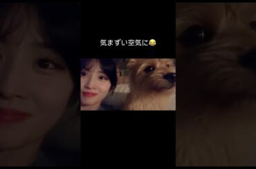 尊すぎる、、#twice #nayeon #jeongyeon #momo #sana #jihyo #mina #chaeyoung #dahyun #tzuyu