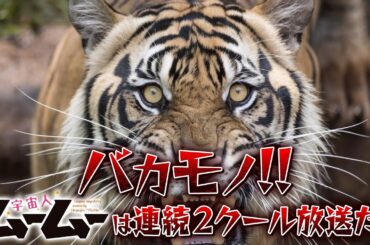 TVアニメ「宇宙人ムームー」新PV｜TVアニメ「宇宙人ムームー」が第2クール突入！！