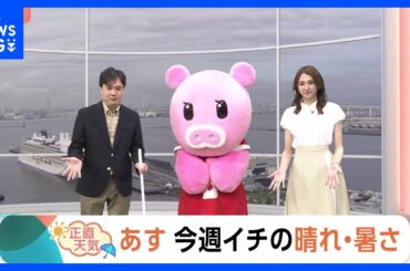 【6月12日 関東の天気】 今週イチの晴れ・暑さ｜TBS NEWS DIG