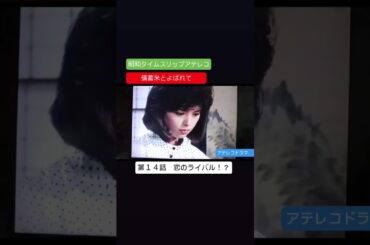 アテレコ　備蓄米とよばれて　第１４話　岡田奈々　松村雄基　不良少女とよばれて　アテレコ　アフレコ