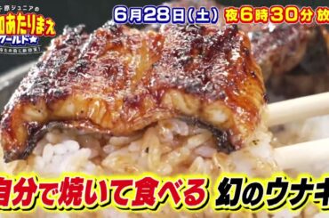 最強ごちそうＳＰ！！激安ウナギ＆極上イカ漁 6月28日放送 愛知あたりまえワールド☆ テレビ愛知