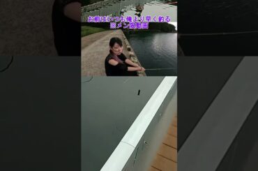 440円で常軌を逸した美味さの魚料理を食いに行くVlog#cosplayer #えりす団長 #メイク #アイドル #cosplay #vlog