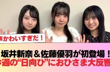 【日向坂46】坂井新奈と佐藤優羽が初登場！今週の日向ひを聴いたおひさまの反応がこちら！ #日向坂46 #日向坂 #日向坂で会いましょう #乃木坂46 #櫻坂46