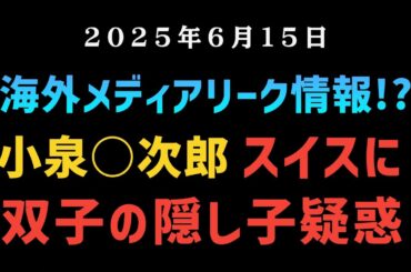 【海外メディアのリーク情報？】◆小泉○次郎スイスに双子の隠し子疑惑