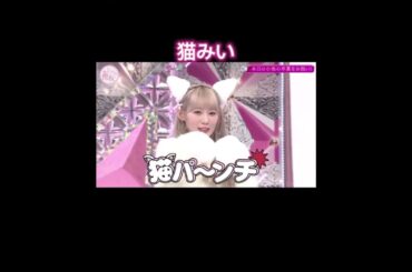猫みい可愛すぎ #そこ曲がったら櫻坂 #小池美波
