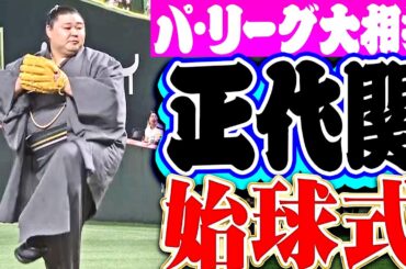 【球場どよめいた】正代関が始球式でナイスピッチ!!【パ・リーグ大相撲】