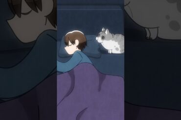 鼻息で起こすネコ