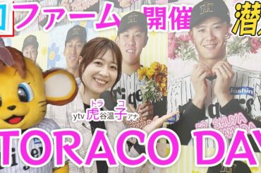 【潜入】初ファーム開催「TORACO DAY」平田監督からメッセージも！