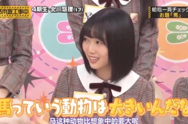 【乃木坂46】「乃木坂工事中 2025」『お題は馬 北川悠理の挑戦』