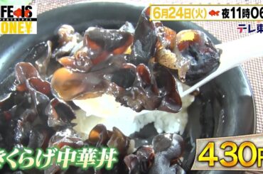 LIFE IS MONEY ～世の中お金で見てみよう～　予告