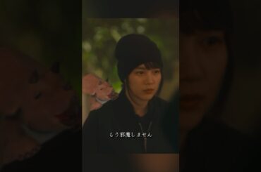 幸せカナコの殺し屋生活  能年玲奈、藤谷太辅、矢本悠马、 山崎纮菜  #shorts #action #drama #能年玲奈 #藤谷太辅